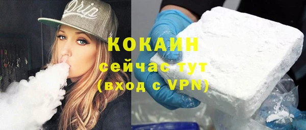 крисы Вязьма