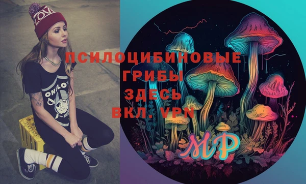 ПСИЛОЦИБИНОВЫЕ ГРИБЫ Армянск