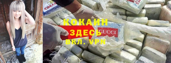 соль ск Горнозаводск