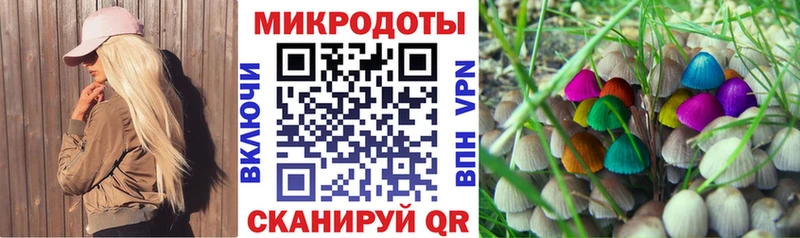 Псилоцибиновые грибы Psilocybine cubensis  Купить закладки  Новоржев 