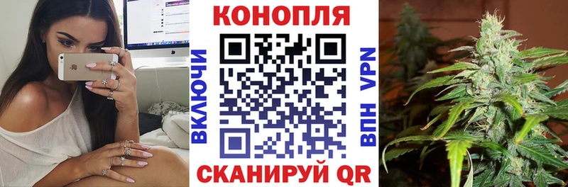 Купить закладки  Новоржев  Шишки марихуана MAZAR 